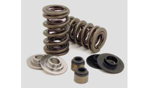 Engine & Components - Valve Springs
