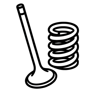 Engine & Components - Valves & Springs
