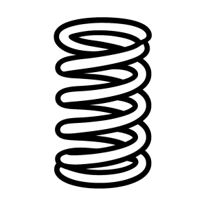 Valves & Springs - Valve Springs