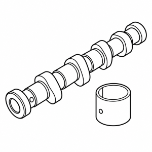 Engine & Components - Engine Camshafts & Bearings
