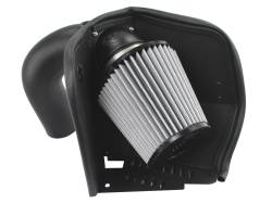aFe Filters 51-31342-1 MagnumFORCE Stage-2 PRO DRY S Intake System