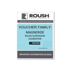 Roush Performance MagneRide Calibration Voucher 18-24 Mustang Magneride; 422331