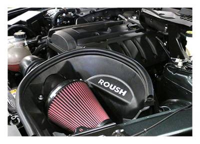 Roush Performance - Roush Performance 421827 Cold Air Intake Kit