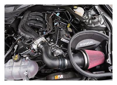 Roush Performance - Roush Performance 421828 Cold Air Intake Kit