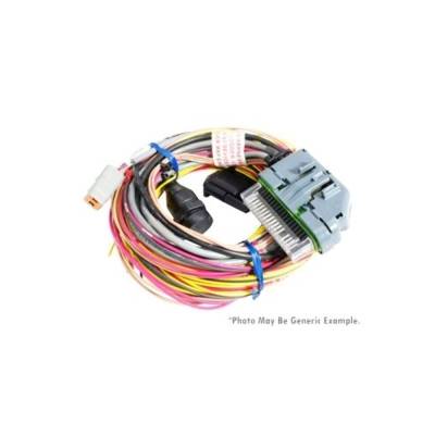 AEM Electronics - AEM 30-2906-96 AQ-1 96" Flying Lead Wiring Harness