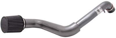 AEM Induction - AEM 24-6001C Dual Chamber Intake System HONDA
