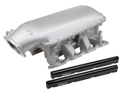 Holley EFI - Holley Performance 300-126 Intake Manifold