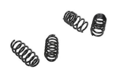 Rekudo - Lakewood RK200-10 Rekudo Coil Spring Set Fits 18-21 3