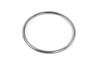 APR - APR EXH0376 V-Band Clamp Sealing Ring