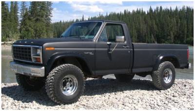Bushwacker - Bushwacker Cut-Out Style Rear Fender Flares-Black, Ford F-Series; 20012-11
