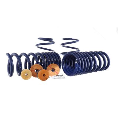 Ford Performance Parts - Ford Performance M-5300-YA 15-23 Mustang Track Lowering Spring Kit