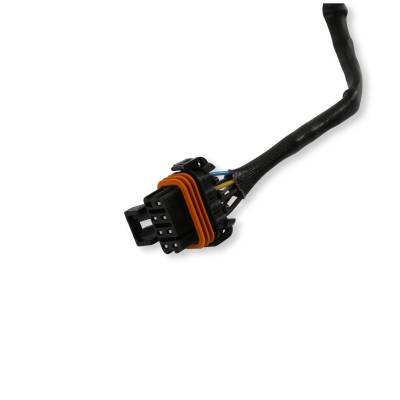 Holley EFI - Holley EFI 554-100 NTK Wideband Oxygen Sensor