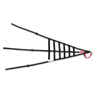 Simpson Safety - Simpson Safety DNC5RRK Driver Net Corvette Right SFI Rated