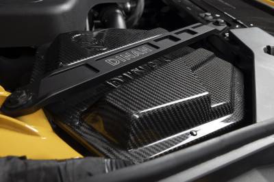 Dinan - Dinan D760-0066 2.0 Air Intake Kit