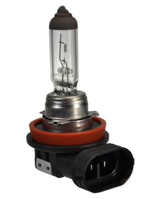 Hella - Hella H16 Multi-Purpose Right Standard Halogen Bulb 12V 19W