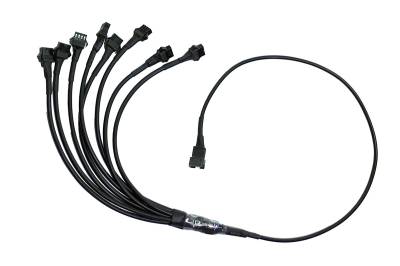 Quake LED - Quake LED QW842 RGB 1 to 8 LC4 RGB Y Splitter