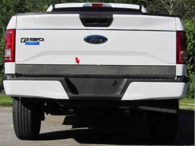 Quality Automotive Accessories - QAA RT55309 1Pc Stainless Steel Tailgate Accent for 2015-2020 Ford F150