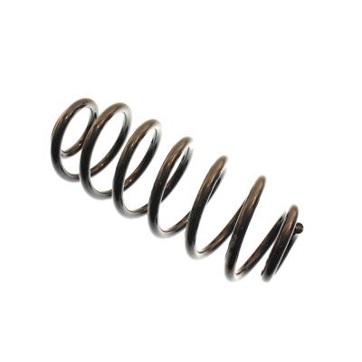 Bilstein - Bilstein 199021 Coil Spring