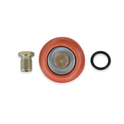 AEM Electronics - AEM 25-392 Adjustable Fuel Pressure Regulator Rebuild Kit
