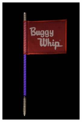 Buggy Whip - Buggy Whip 4' LED Offroad Whip Light-Purple Threaded BWLED4PPT