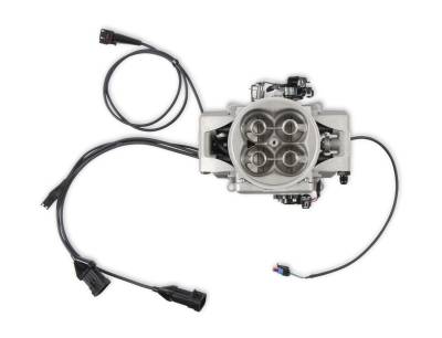 MSD - Holley EFI 2910-2 MSD Atomic 2 EFI TBI Raw