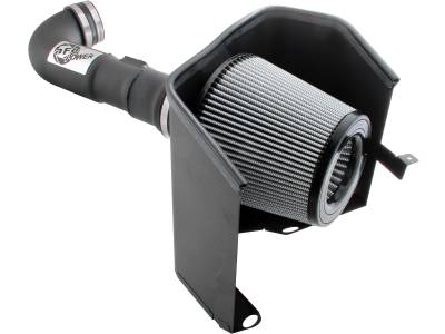 aFe Power - aFe Filters 51-10312-1 MagnumFORCE Stage-2 PRO DRY S Intake System