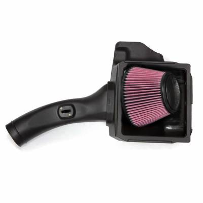 Banks Power - Banks Power 41882 Banks Ram-Air Intake System 11-14 F150