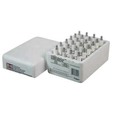 Champion Spark Plug - Champion 1009S Shop Pack 24 Plugs N1039Y