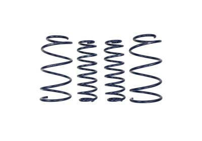 Ford Performance Parts - Ford Performance M-5300-RA 13 Cobra Jet Spring Kit