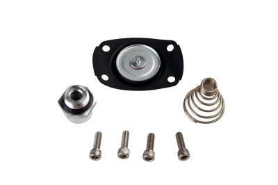 Aeromotive Fuel System - Aeromotive 13005 Carb Regulator Repair Kit