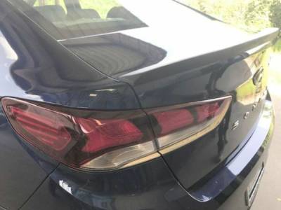 WingTech - WingTech Custom Style Lip Mount Rear Spoiler Un-Lighted WT-14273