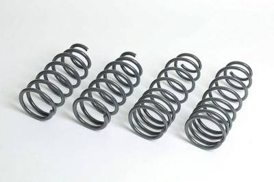 Progress LT - Progress 40.1134 Sport Spring Set