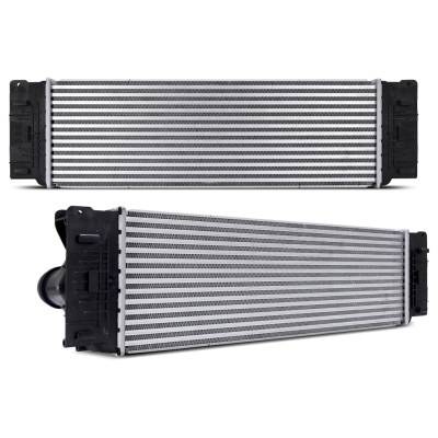 Mishimoto - Mishimoto MMINT-SPR-10P Intercooler for Mercedes-Benz Sprinter 2500/3500 10-22