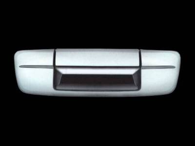 Quality Automotive Accessories - Quality Automotive DH49933 Door Handle Cover for Ram 1500