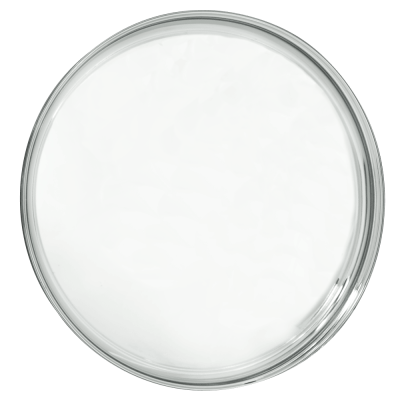 Wheel Vintiques - Wheel Vintiques 1011-A 8.75" O.E. Baby Moon Cap