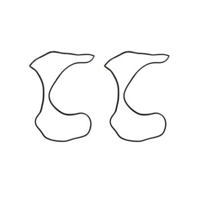 Brothers Trucks - Brothers Trucks DFS5559 Door Seal for Chevrolet & GMC