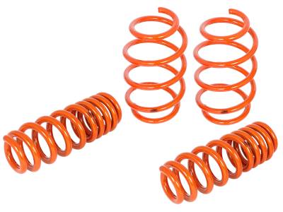 aFe Power - aFe Power 410-503006-N Coil Spring Lowering Kit for 08-13 BMW M3 4.0