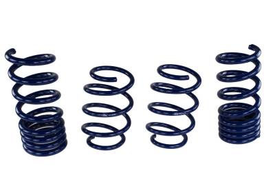 Ford Performance Parts - Ford Racing M-5300-W Lowering Springs Kit for 15-17 Ford Mustang
