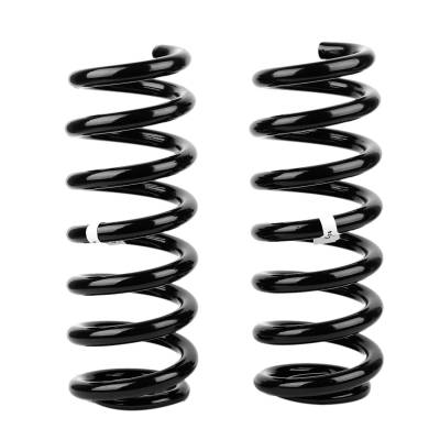 Old Man Emu - Old Man Emu 3074 Rear Coil Spring Set