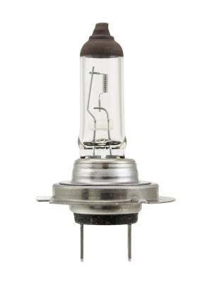 Hella - HELLA Multi-Purpose Light Bulb H7 70W