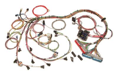 Painless Wiring - Painless Wiring 60508 GM LS1 Fuel Injection Harness 97-04 Camaro/Corvette