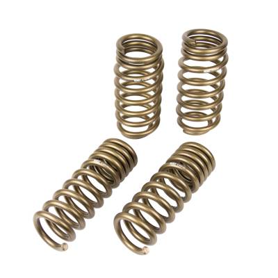 Hurst - Hurst 6130010 Stage-1 Lowering Spring Kit for 11-23 Dodge Challenger R/T