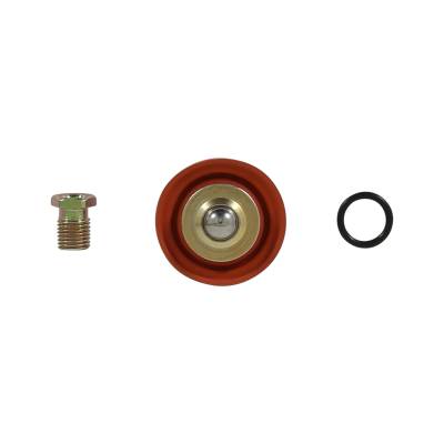 AEM Electronics - AEM 25-392 Adjustable Fuel Pressure Regulator Rebuild Kit