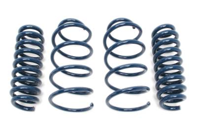 Dinan - Dinan D100-0919 08-11 BMW M3 Base 4.0 Coil Spring Set