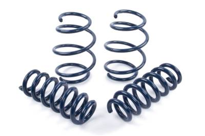 Dinan - Dinan D100-0934 BMW 2.0 3.0 Coil Spring Set