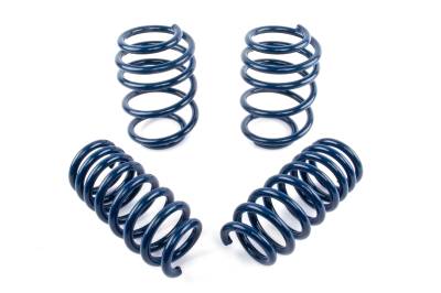 Dinan - Dinan D100-0935 BMW Sport Utility 3.0 Coil Spring Set