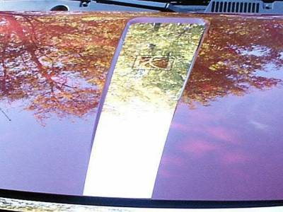 Quality Automotive Accessories - Quality Automotive HD45410 Hood Accent 06-07 Saturn Ion