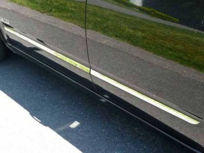 Quality Automotive Accessories - Quality Automotive MI24135 Molding Insert for Toyota Prius