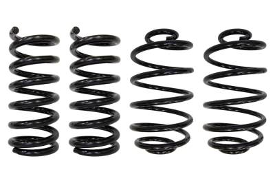 UMI Performance - UMI Performance 3050F Coil Spring Lowering Kit