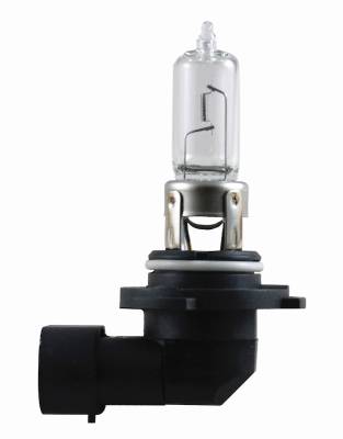 Hella - HELLA 9005P50TB Multi-Purpose Light Bulb 9005 12V 65W T4 +50